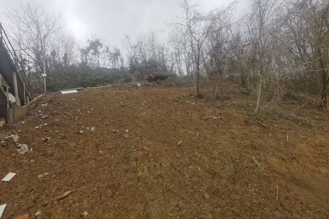 земля Соболевка ул Я.Фабрициуса 37/27 фото