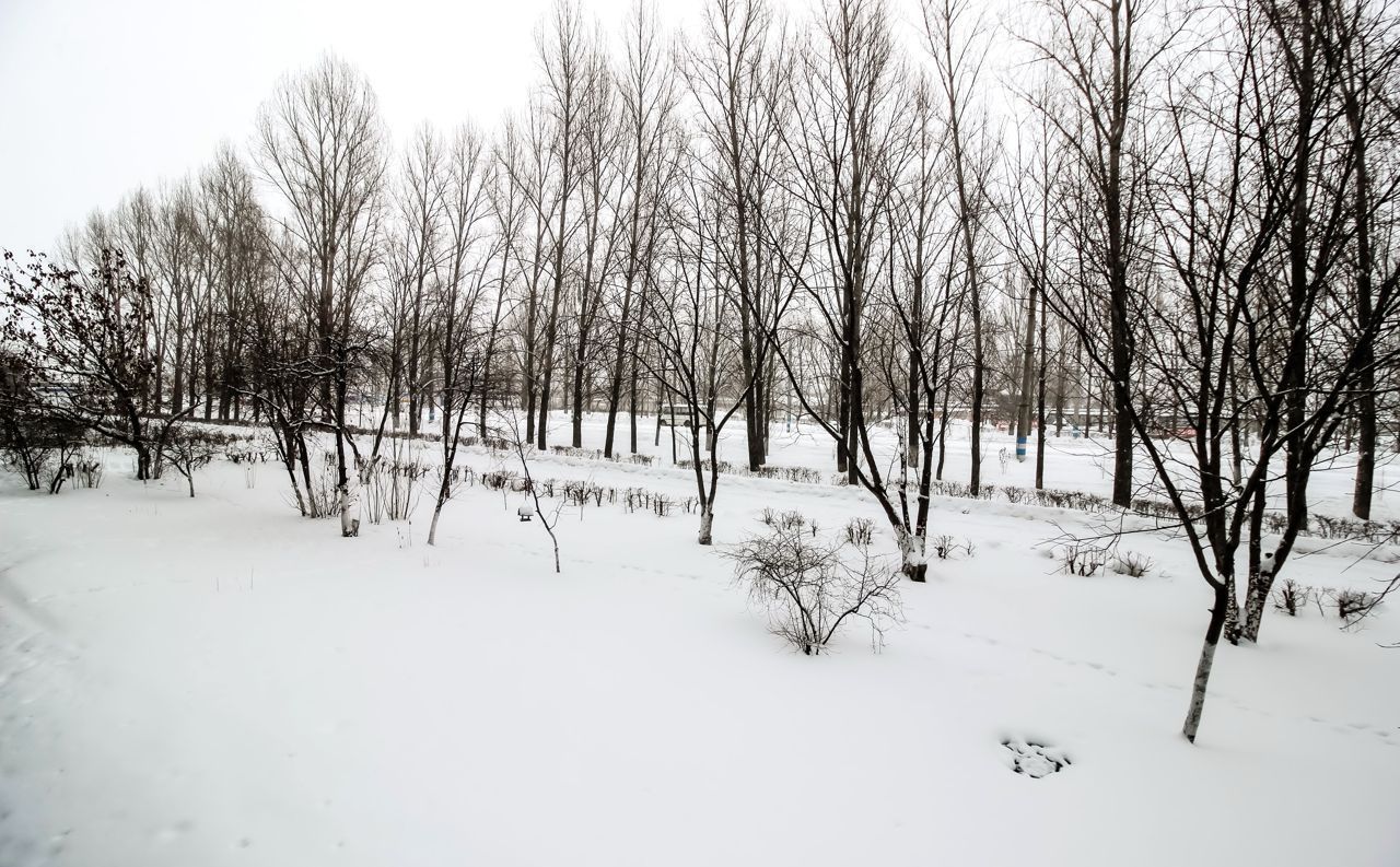 квартира г Ульяновск р-н Заволжский пр-кт Созидателей 4 фото 30