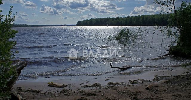 р-н Лодейнопольский д Харевщина тер Урочище Харевщина Янегское сельское поселение, Лодейное Поле фото