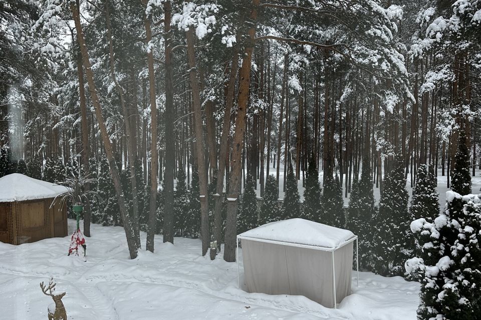 дом р-н Судогодский фото 4