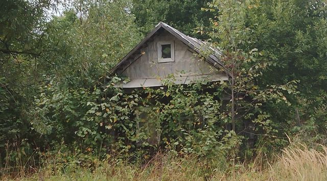 д Кулаково ул Центральная Переславль-Залесский городской округ фото