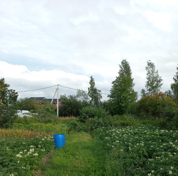 земля р-н Всеволожский д Ганнибаловка Морозовское городское поселение фото 3