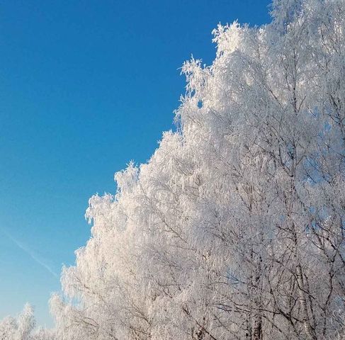 р-н Нытвенский с Ленино фото