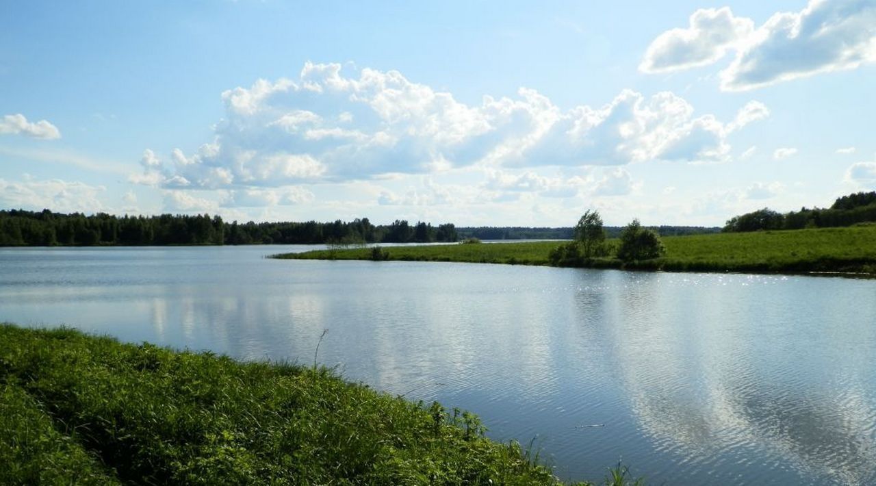 земля городской округ Шаховская д Дор КП Дорино ДНП фото 9