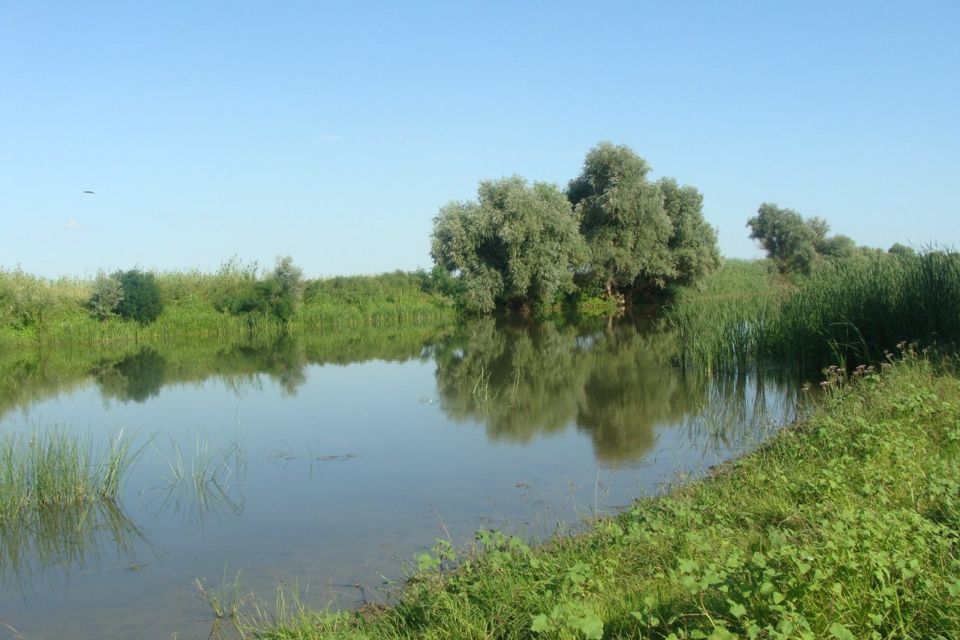 земля р-н Володарский фото 3