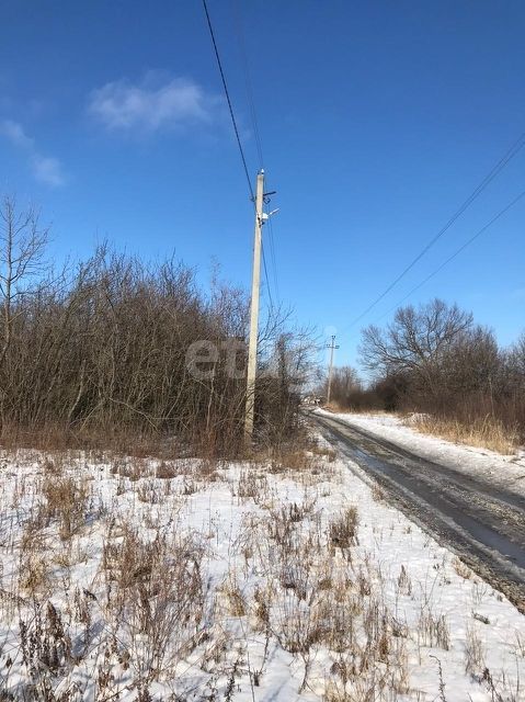 земля р-н Рамонский с Гвоздёвка ул Садовая фото 4