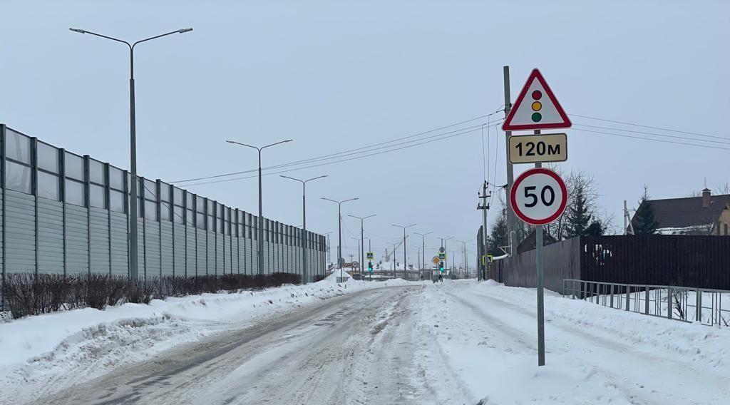 земля г Москва п Первомайское пер 1-й Рогозининский 39 ТиНАО фото 16