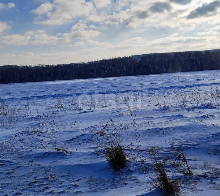 земля г Екатеринбург р-н Чкаловский фото 4