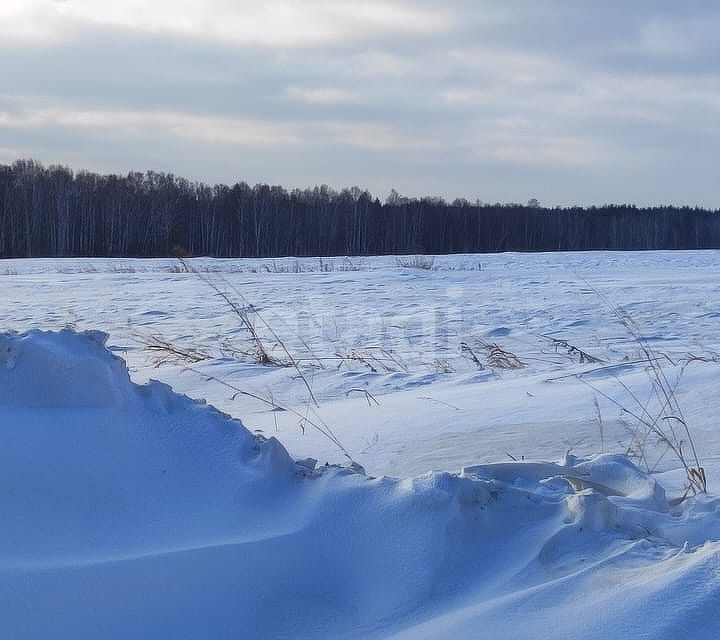 земля г Екатеринбург р-н Чкаловский фото 5