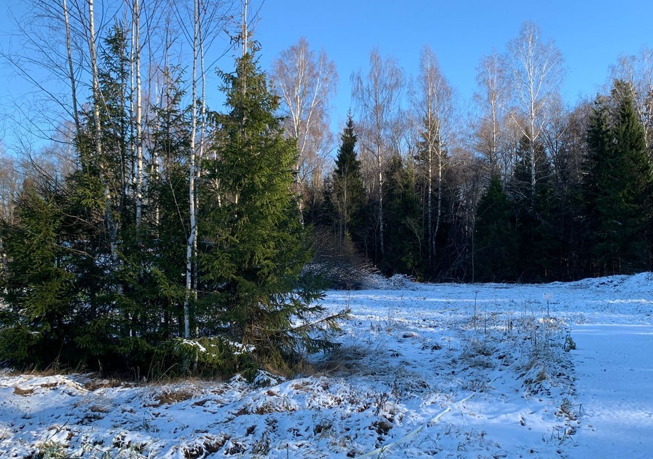 земля городской округ Клин д Ногово снт Лесная опушка Клин фото 9