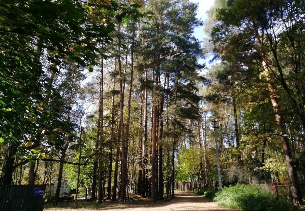 земля городской округ Раменский п Машиностроитель ул Садовая 4 Раменское фото 14