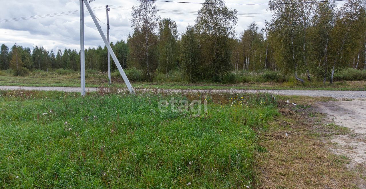 земля р-н Тюменский с Каскара ДНТ Дачи Хюгге фото 3