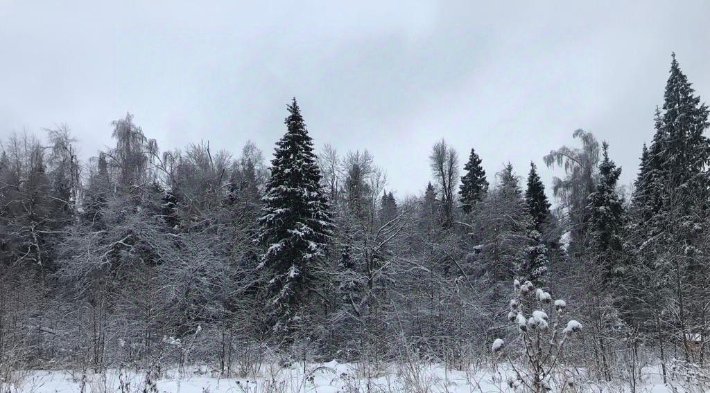 земля городской округ Пушкинский д Артёмово ул. Мира фото 6