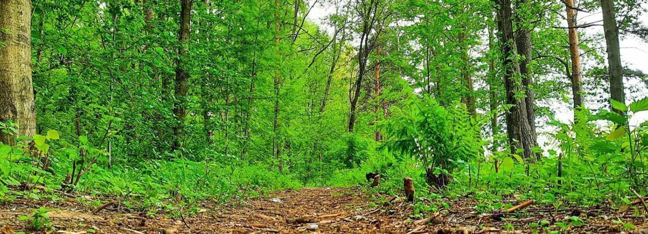 квартира г Санкт-Петербург метро Академическая ул Руставели фото 5