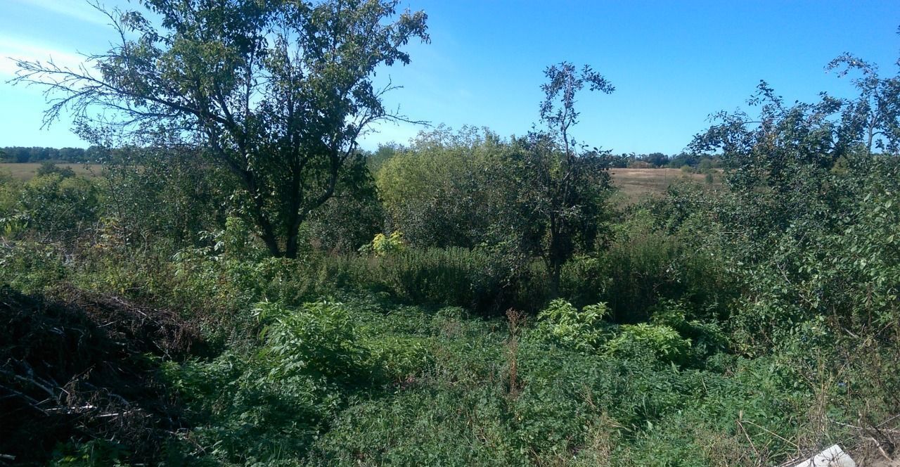 дом р-н Белгородский с Толоконное Октябрьский фото 5