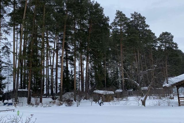 земля р-н Дзержинский Пролетарский ул Костычева 41 фото