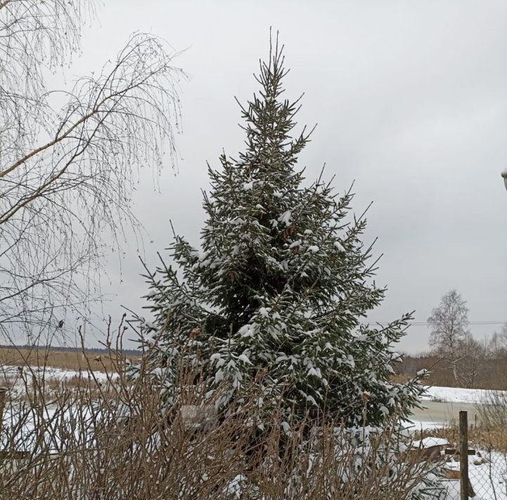 дом городской округ Истра д Надеждино ул. Березовая, 11 фото 45