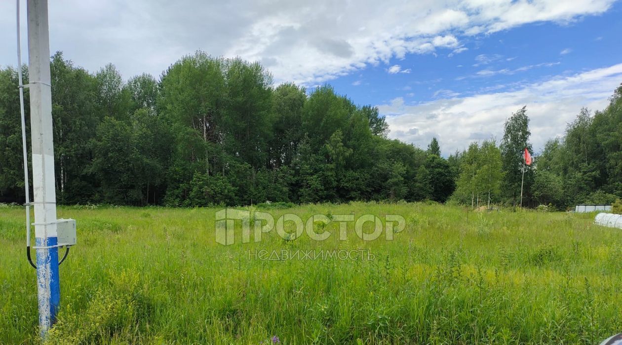 земля городской округ Волоколамский д Комарово Волоколамская, 55, Клин городской округ фото 4