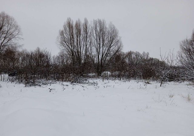 р-н Рязанский д Ульяновка Тюшевское сельское поселение, Рязань фото