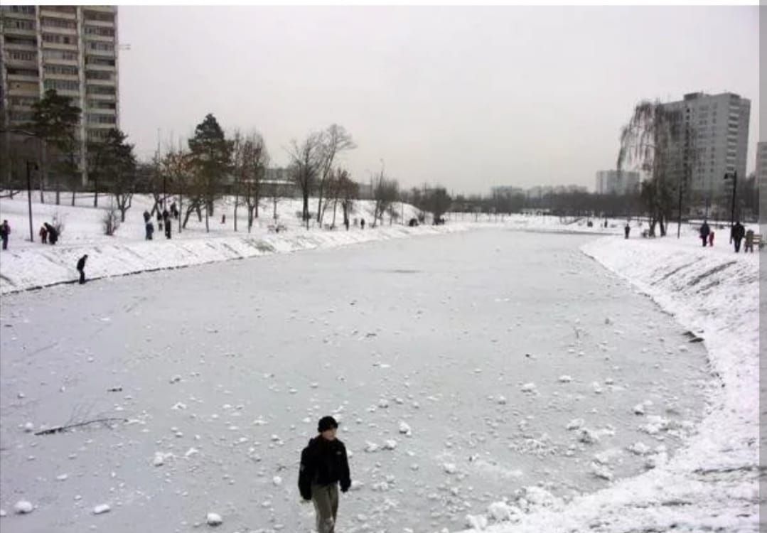 квартира г Москва метро Царицыно Бирюлево Восточное ул Бирюлёвская 30 фото 9