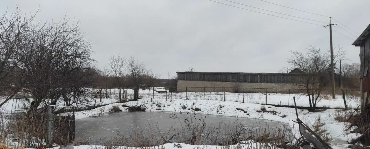 дом р-н Пронский с Кисьва Погореловское сельское поселение, Новомичуринск фото 4