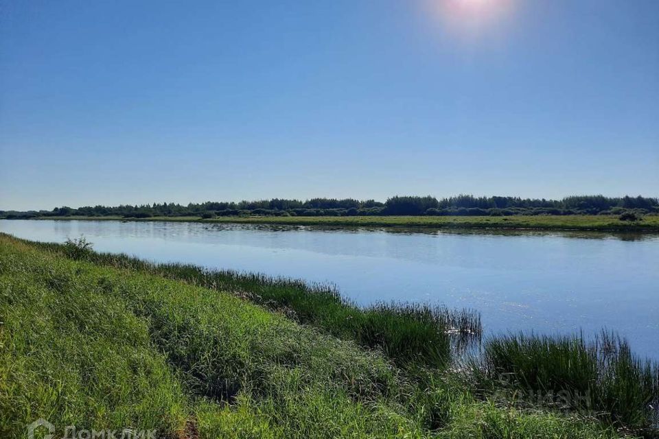 земля р-н Новгородский д Белая Гора фото 1