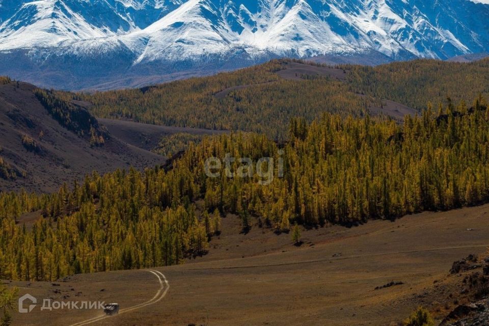 земля р-н Кош-Агачский фото 1