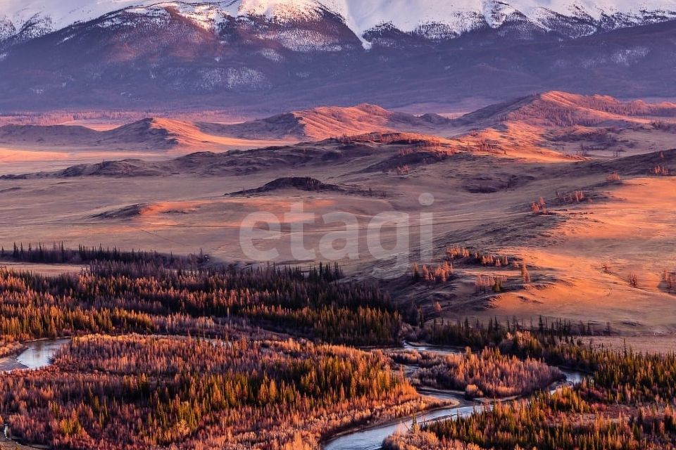 земля р-н Кош-Агачский фото 3