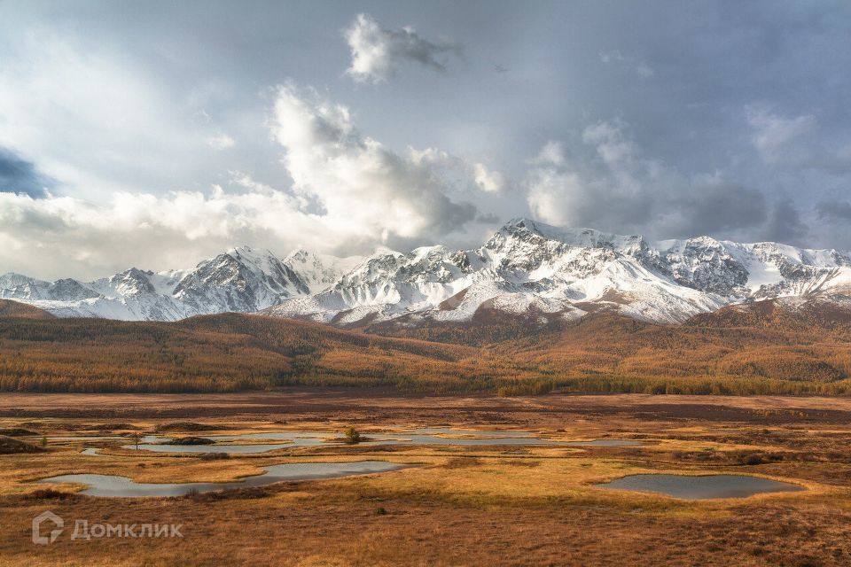 земля р-н Кош-Агачский фото 2