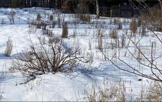 земля г Ханты-Мансийск фото 4