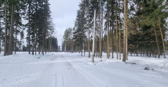 г Химки мкр Сходня квартал Усково фото