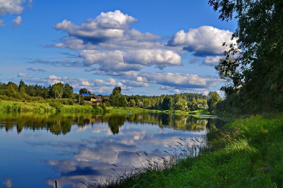 земля р-н Маловишерский фото 1