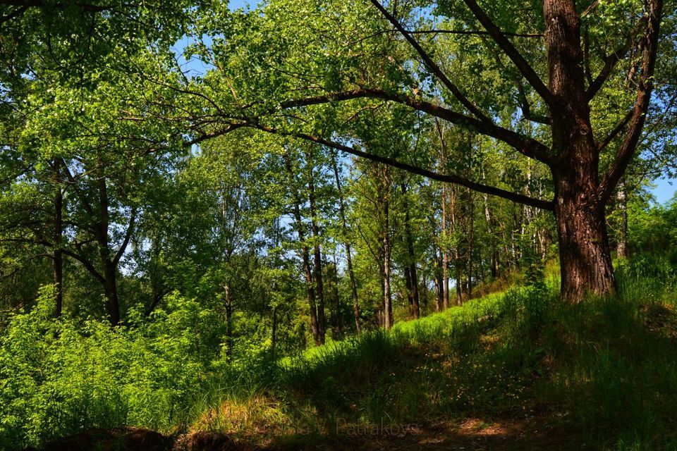 земля г Самара р-н Красноглинский фото 7