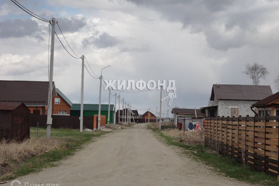 земля р-н Новосибирский п Воробьевский фото 1