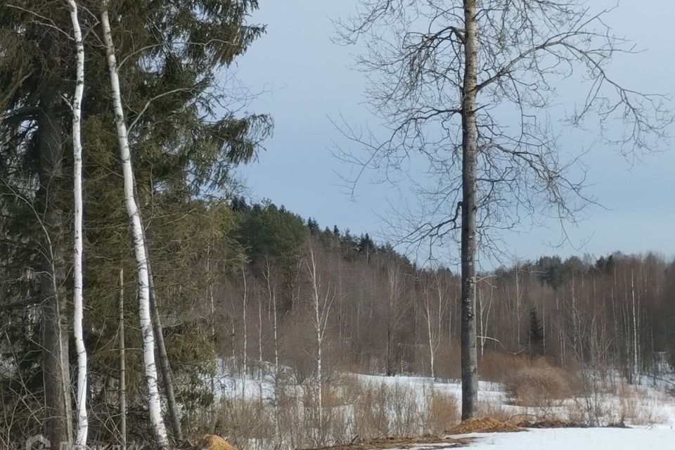 земля р-н Всеволожский фото 1