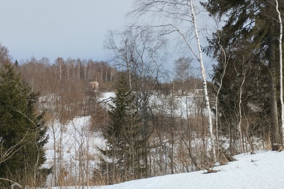 земля р-н Всеволожский фото 2