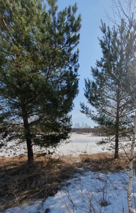 земля городской округ Наро-Фоминский д Годуново фото 5