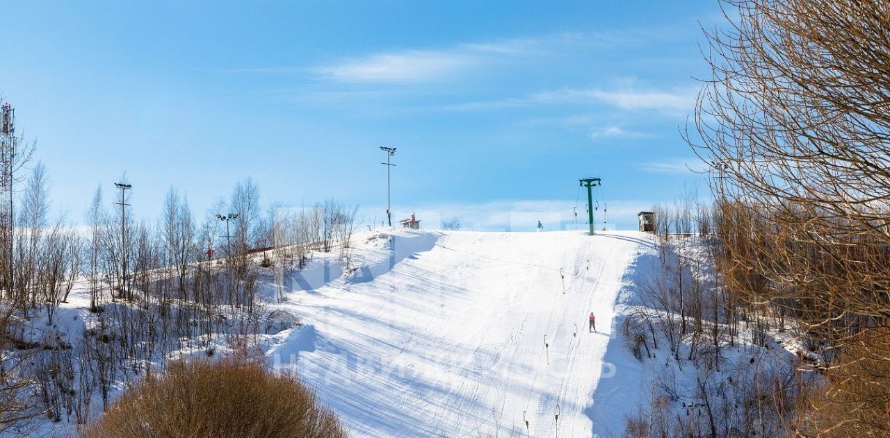 дом городской округ Дмитровский д Спас-Каменка ул Альпийская фото 6