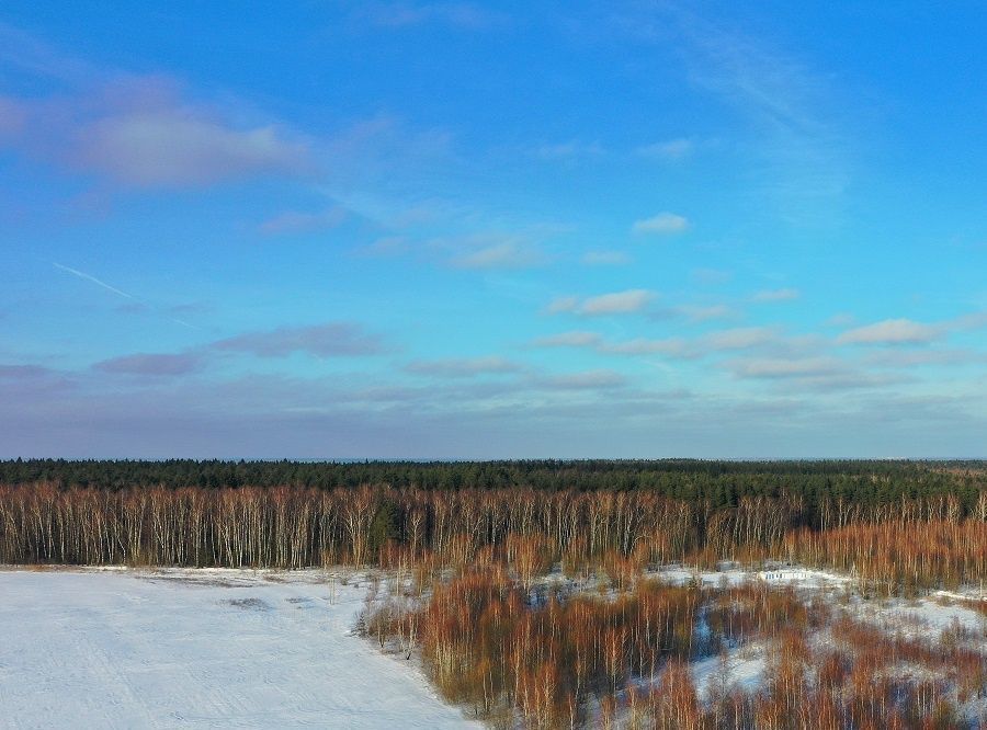 земля городской округ Одинцовский Лапин О 2 кп фото 3