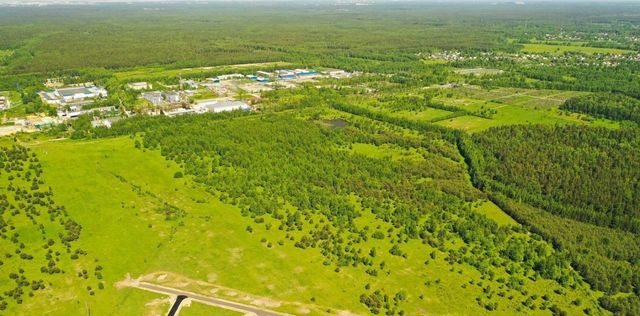 городской округ Раменский д Дергаево фото