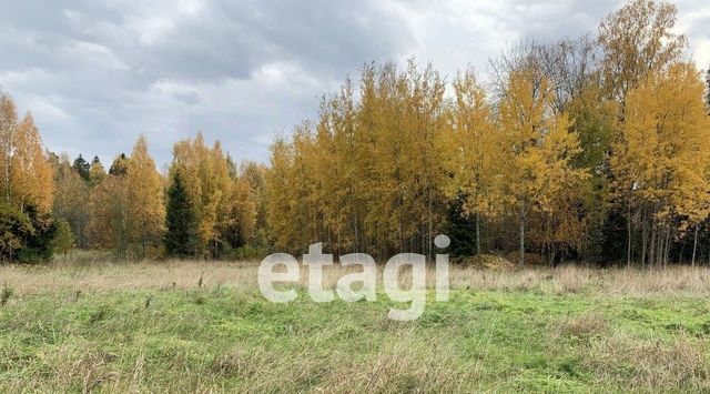 р-н Выборгский п Медянка ул Высоцкая Советское городское поселение фото