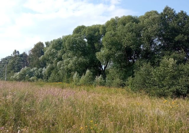 городской округ Серпухов п Оболенск д. Акулово, г. о. Серпухов фото