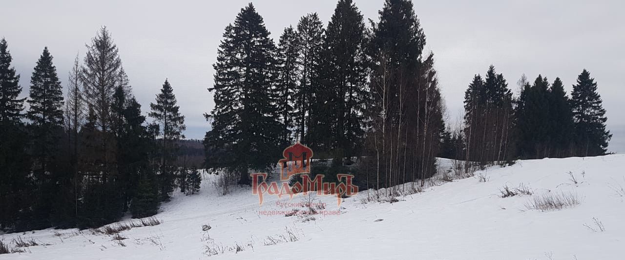 земля городской округ Дмитровский д Капорки фото 1