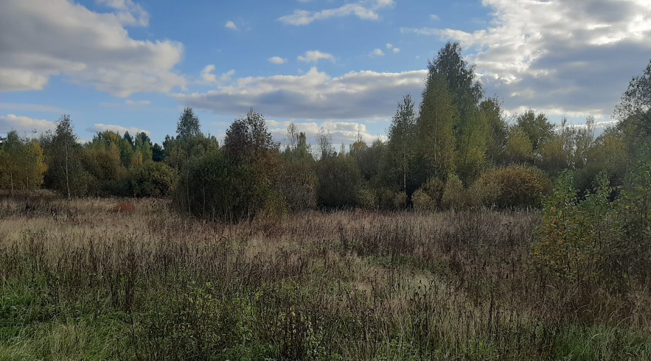 земля городской округ Орехово-Зуевский д Зворково фото 10