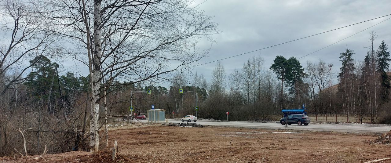 земля городской округ Солнечногорск д Голубое пр-д Тверецкий фото 3