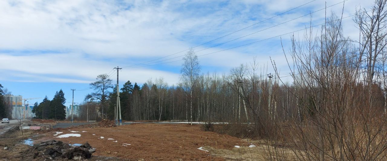 земля городской округ Солнечногорск д Голубое пр-д Тверецкий фото 5