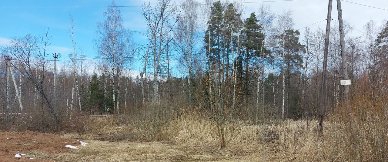 земля городской округ Солнечногорск д Голубое пр-д Тверецкий фото 17