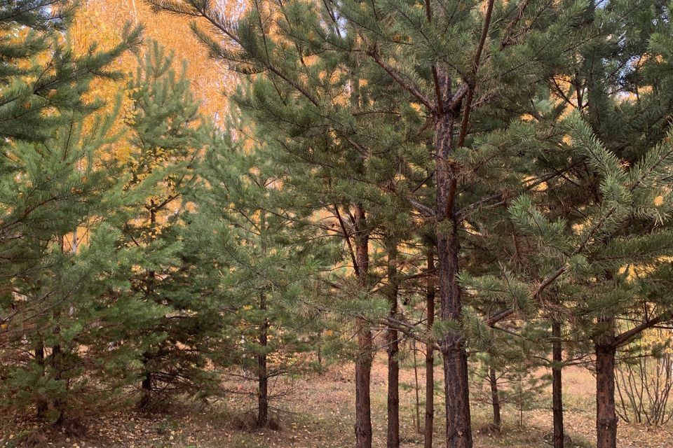 земля р-н Чебаркульский фото 3