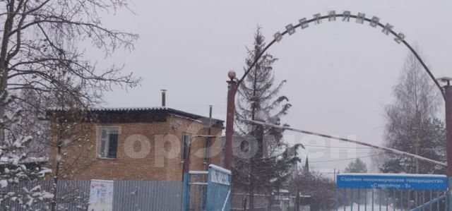 городской округ Богородский п Воровского ул. Черемуховая фото