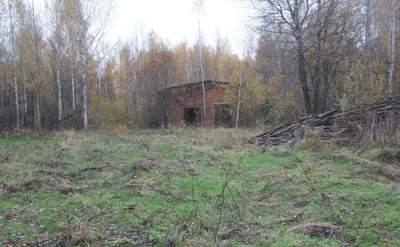 свободного назначения р-н Воскресенский д Шадрино Воскресенское фото 5